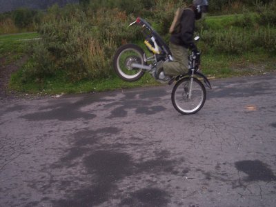 mulf3.jpg - 27305 Bytes